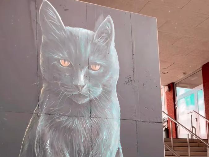 kat2025grafiti